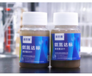 生化系統(tǒng)崩潰，氨氮超標(biāo)，我該怎么辦?